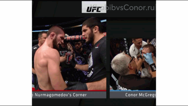 Хабиб кричит в угол Конора