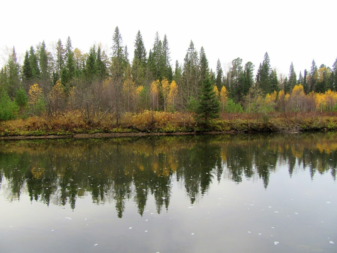 Берега обрывистые и местами заболоченные.