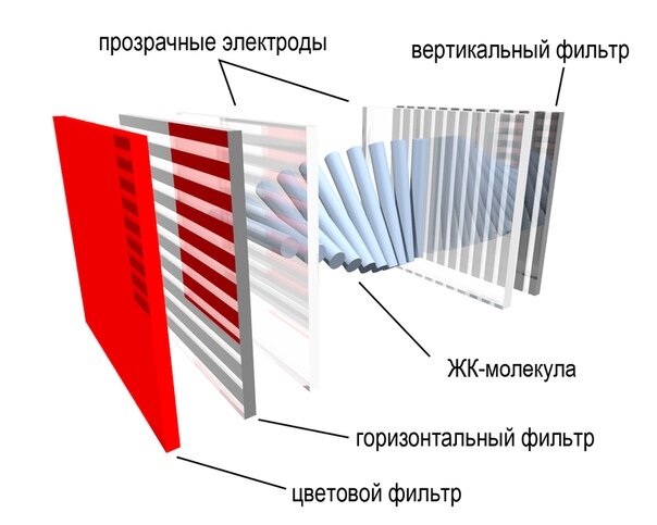 Простейшая схема устройства LCD-экрана