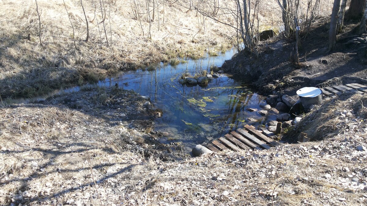Родник. Вода чистейшая, можно смело пить.