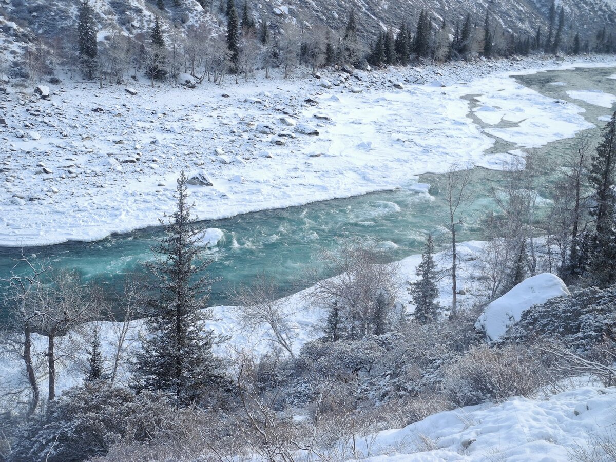 Замерзшая Катунь