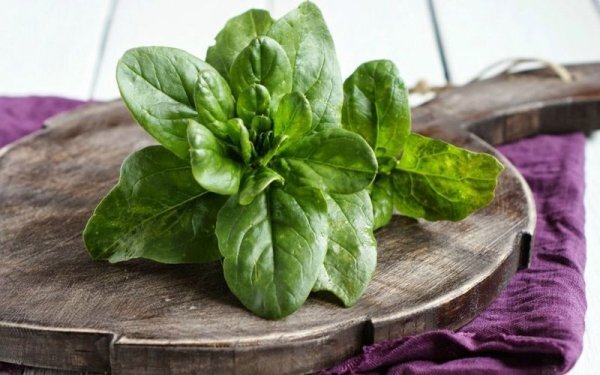 Всем привет! Сегодня мы расскажем, какие натуральные продукты питания и травы для памяти можно применять в домашних условиях.-4