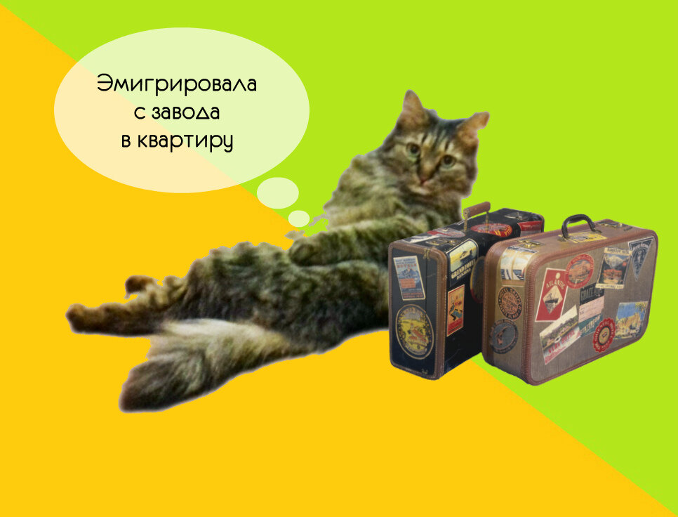 Авторское фото