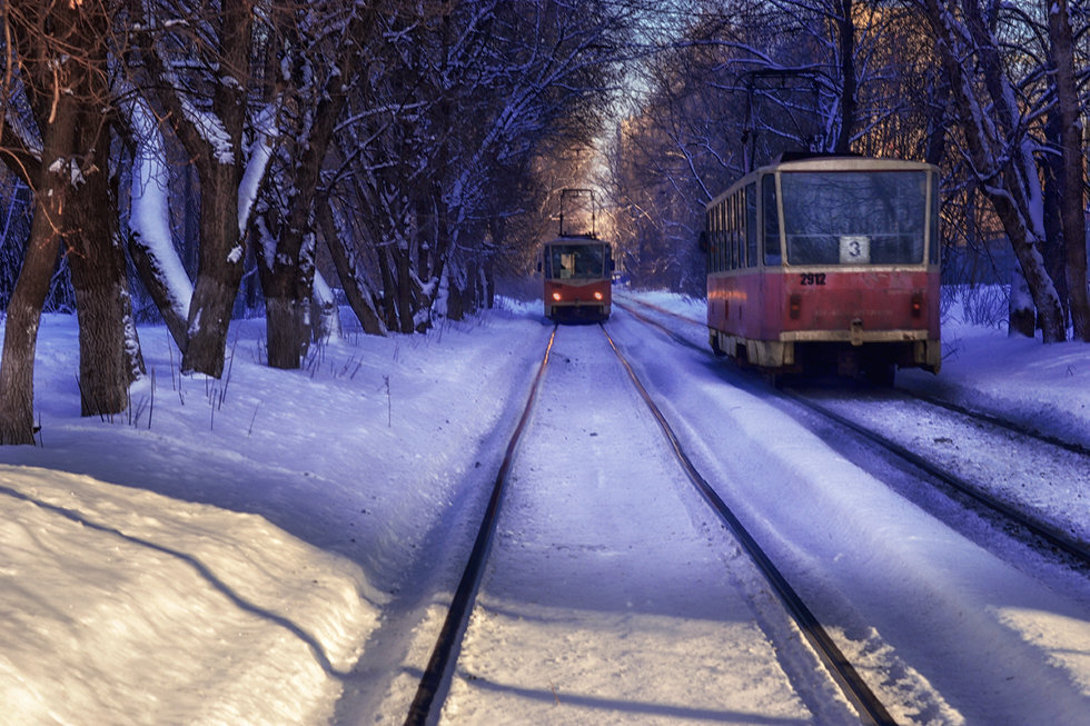 Фото трамвая в лесу из открытого источника, спасибо автору