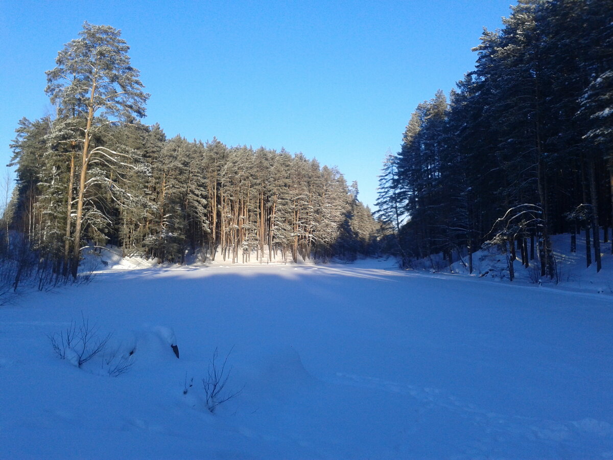                                             Лесной пруд в конце тропы здоровья.