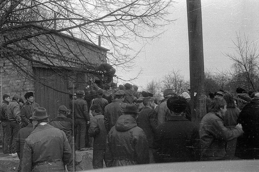 фото с сайта https://bigpicture.ru