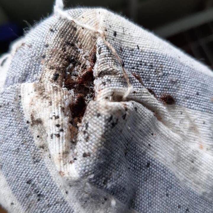 когда они долго живут - становится грязно