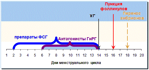 Короткий эко протокол