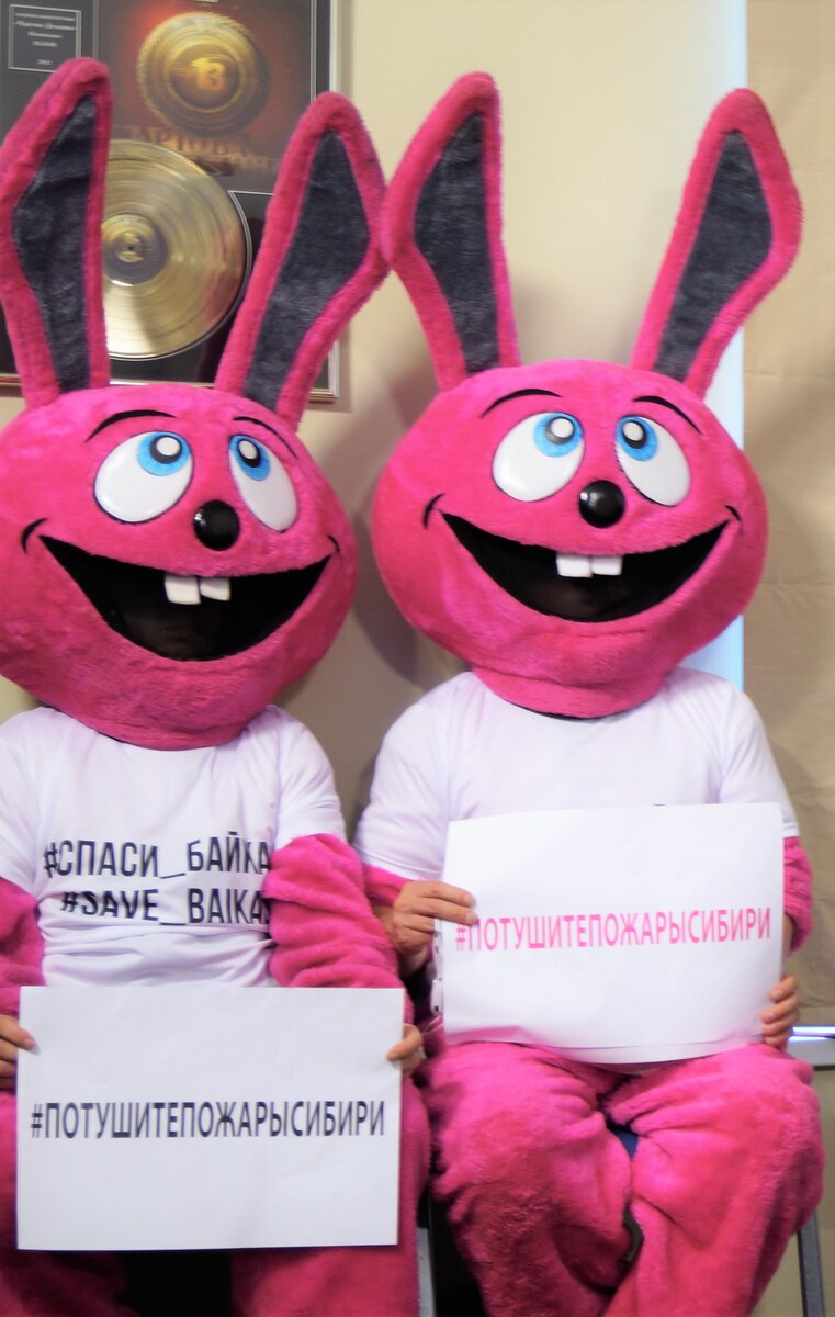 Розовые зайцы - помощники Суперзвезды