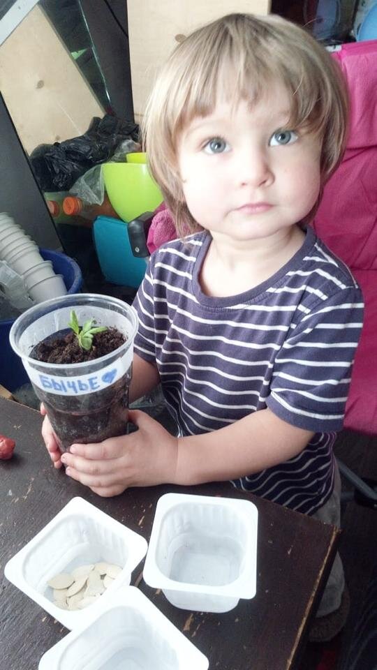 Чем раньше рассада окажется в теплице, тем лучше.