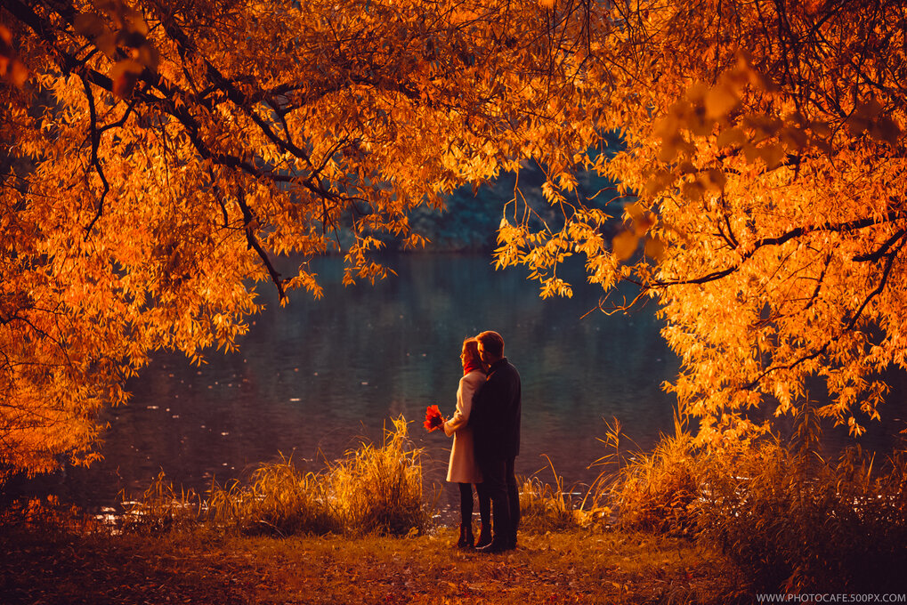 Яндекс-фото