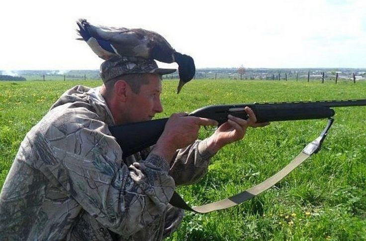 Картинка взята из открытых источников (с) Из сети