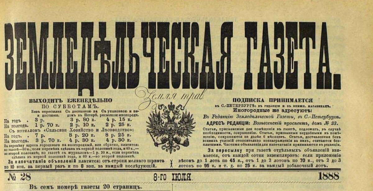 Российская пресса 19 века. Газеты 19 века Бельгия. Самарская газета 19 века. VORWARTS! Газета 19 век.