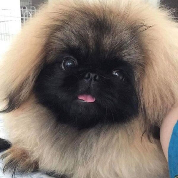  https://www.pinterest.ru/pin/416231190548524673/ 