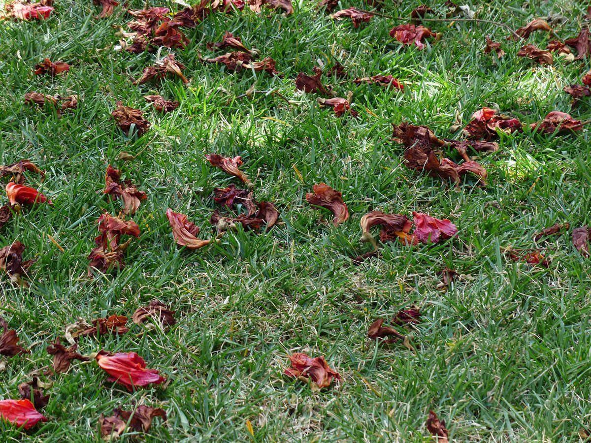 Вот только политики мало обеспокоены данной проблемой 