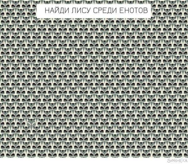 источник изображения https://zagadky.com/