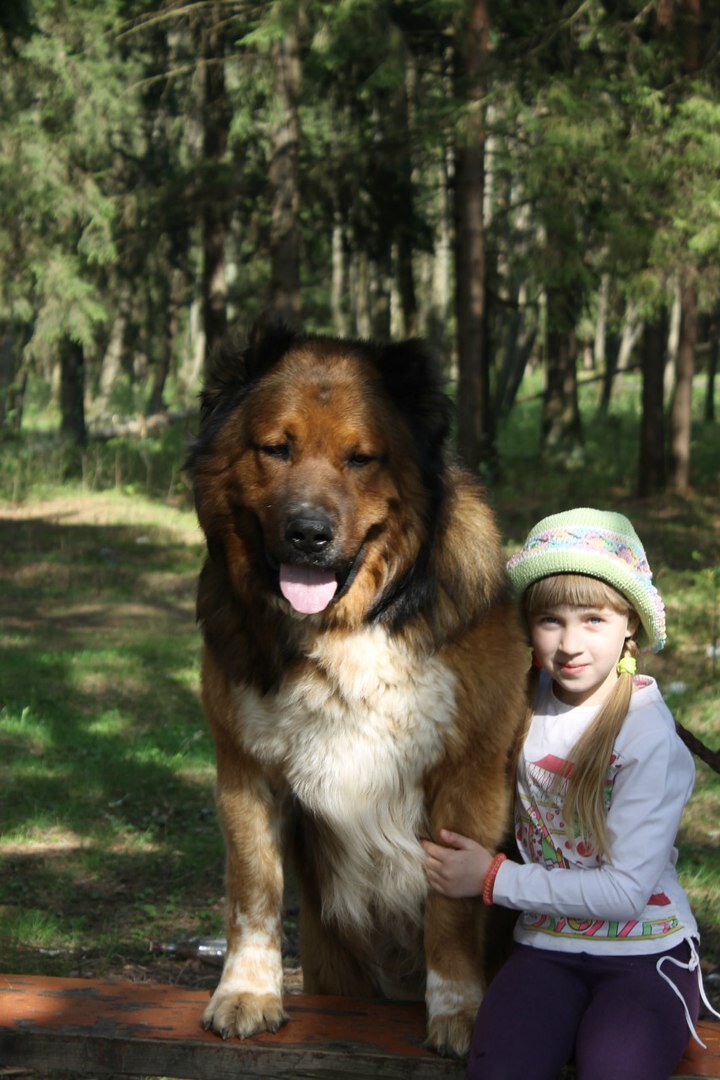 Зидан Ласковый Зверь и Виктория