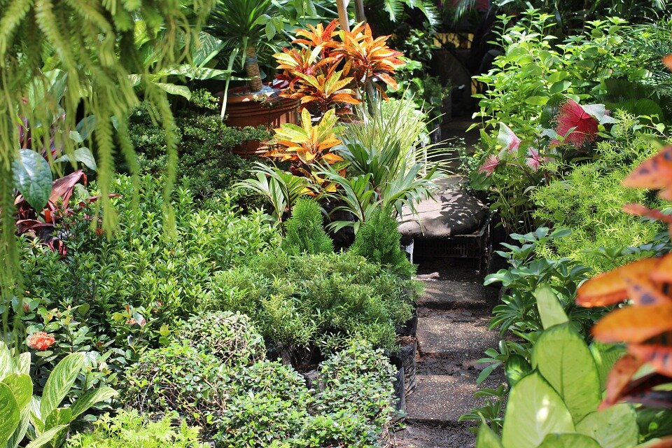 https://cdn.pixabay.com/photo/2012/12/24/08/38/garden-72054_960_720.jpg