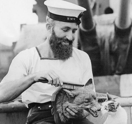 фото из сети Интернет