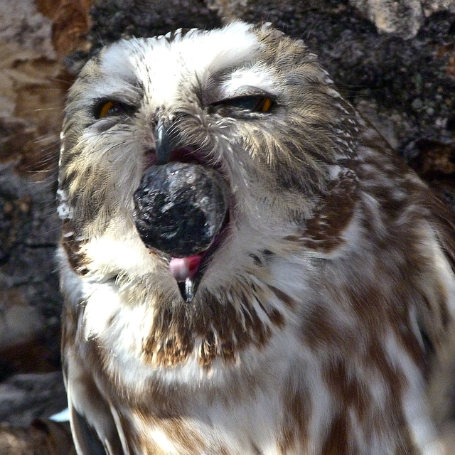 Чего смотрите? Это интимный процесс. Уберите камеру! 