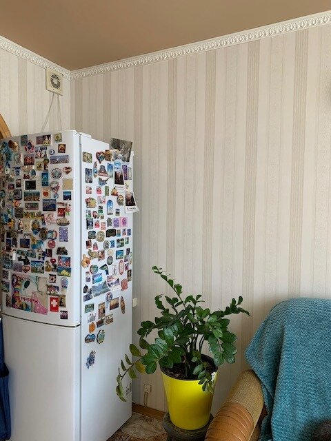 Новые обои на кухне