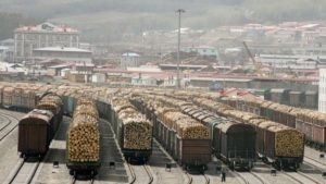 Здесь сейчас сибирская тайга