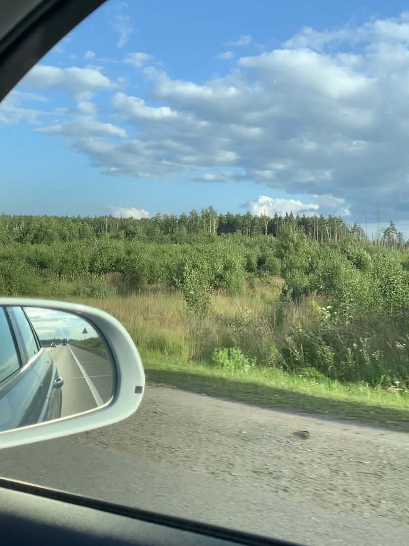 Дорога во Владимир 