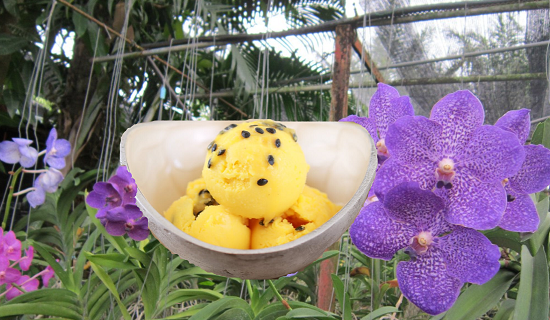 Подпишитесь на канал и поставьте лайк! Благодарю!