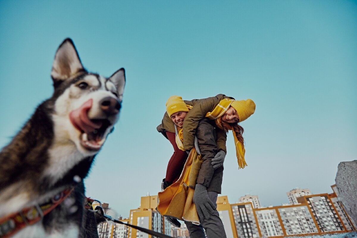 фото Никита Журнаков