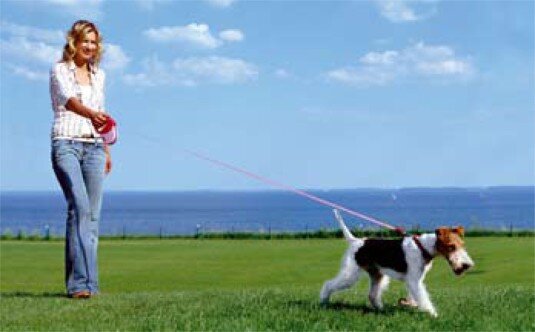 Фото из интернета.