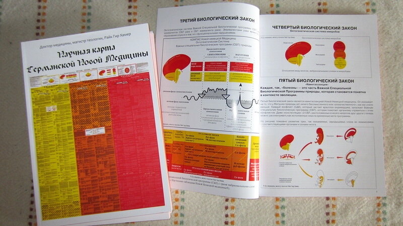 новая германская медицина хаммер таблица. справочник германская новая медицина. гнм германская новая медицина книга справочник болезней. германская новая медицина хаммер. германская научная медицина.