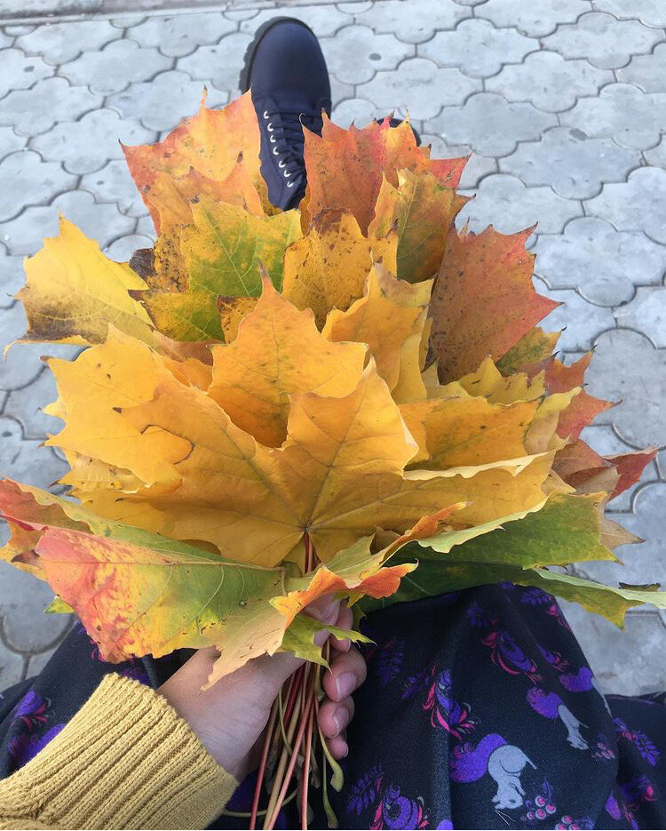 Насобирали листьев на прогулке с детьми
