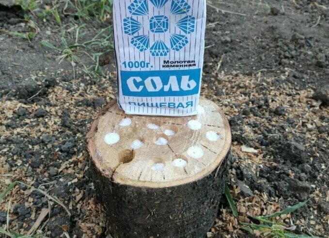 Добавьте описание