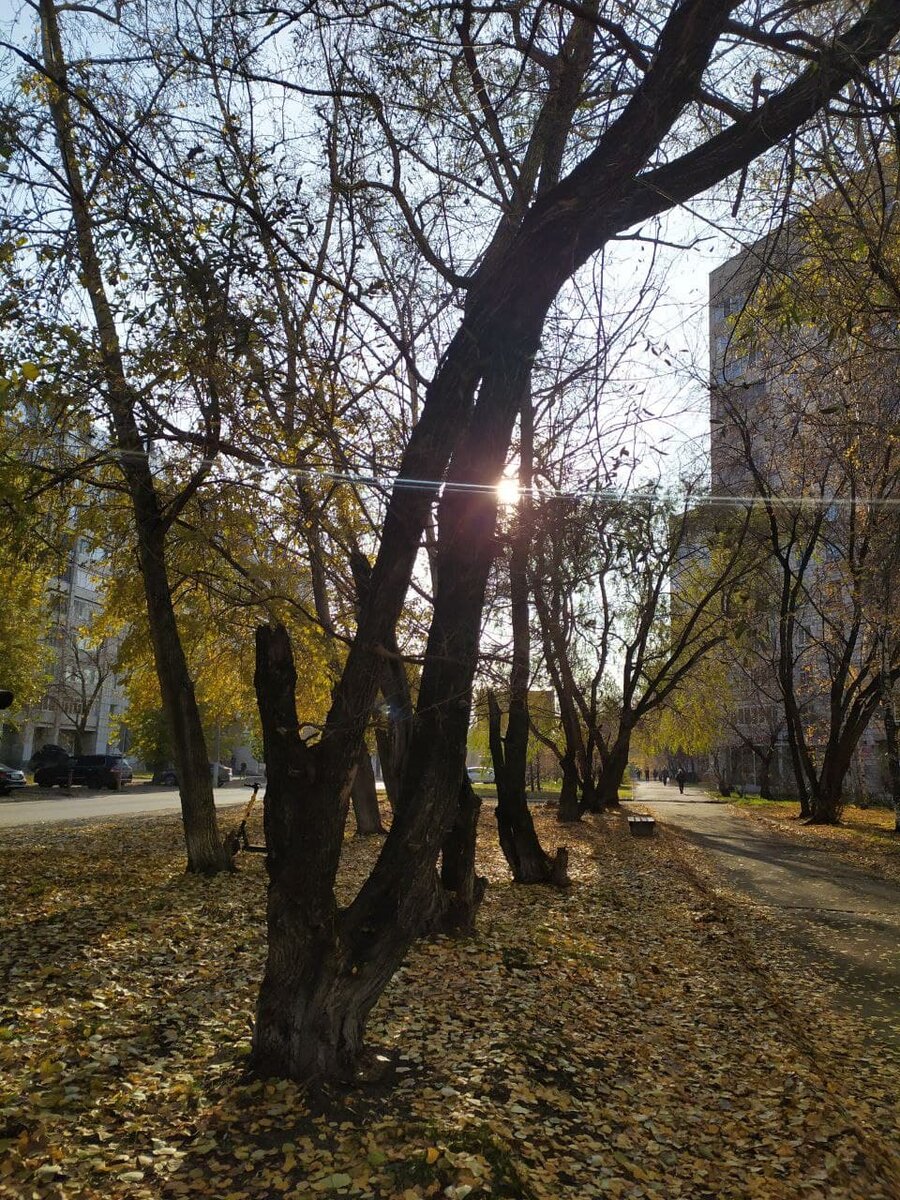 Счастливые моменты 