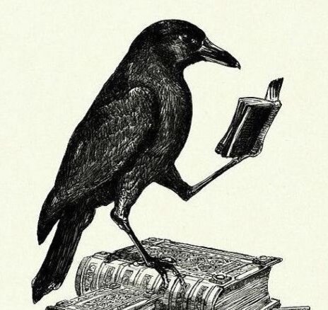 картинка из свободных источников интернета