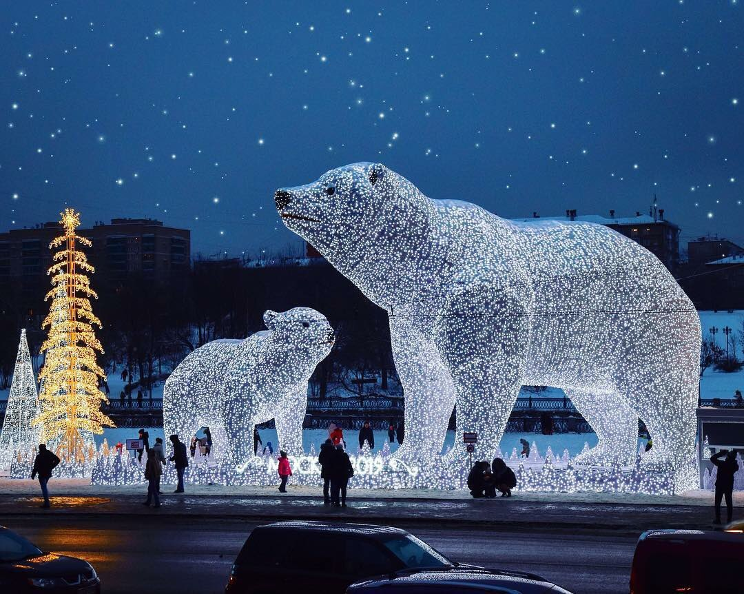 Медведь в москве