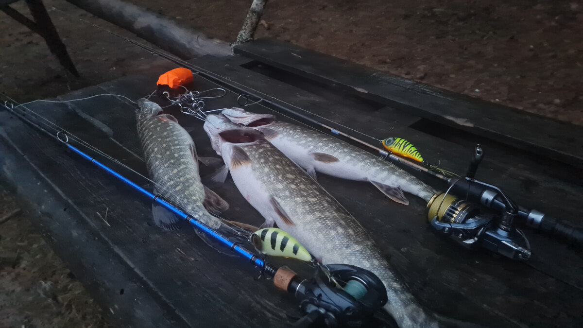 🔥Отчёт, рыбалка в декабре🔥 👋Приветствую всех🤠, если есть среди вас любители рассказов о рыбалке, это для вас🤗, если нет, то просто фото ниже👇 с рыбалки 12.12.2021г...... Приятного чтения😊
Сплав в декабре🥶❄
Начало зимы❄ было достаточно бурным и минус казалось бы уже никогда не отпустит из своих объятий природушку.... Но, не тут-то было, после непродолжительного мороза🥶 снова оттепель, вроде и хорошо, но снег, что выпал накануне, плотным слоем, буквально за ночь, съела оттепель с затянувшимся дождём. "Ну и куда ехать на рыбалку?" - подумал я, реки ещё точно не схватила стужа а уровень воды наверняка из-за оттепели будет просто сумасшедшим и течение, течение точно усилилось раза в два . Нужна река, которая не сильно разливается, да, точно, есть одна на примете, правда не бывал там ранее, но вариантов нет, а диван это не мой уровень😁 (также рассуждал я и делал некие выводы ).