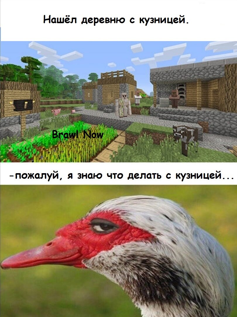 Новая по Minecraft, подборка мемов.