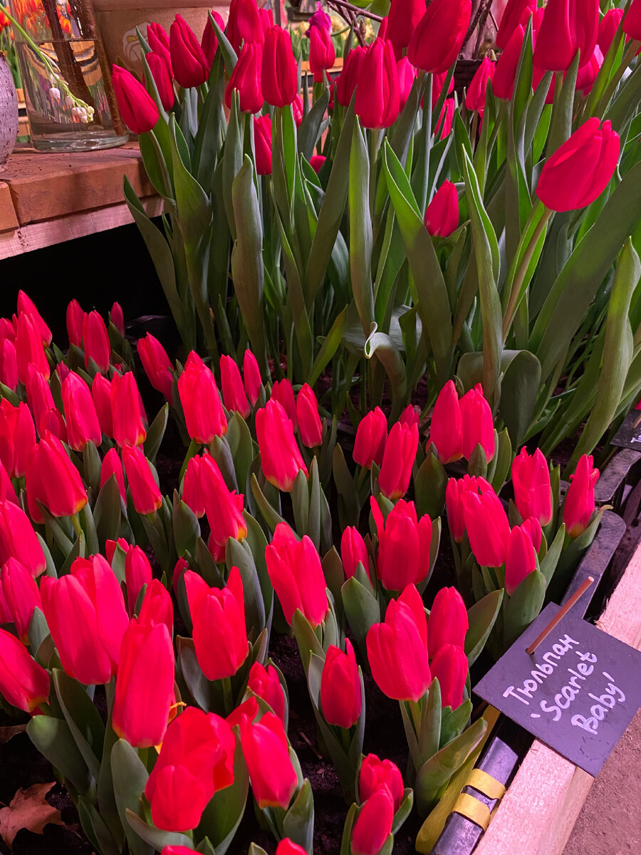 Личный архив