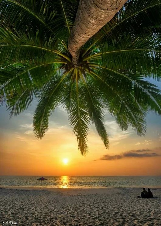 Фото из Pinterest