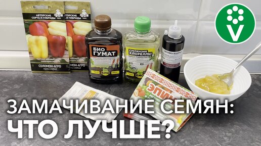 Замачивание семян в янтарной кислоте. В эпине можно замачивать семена