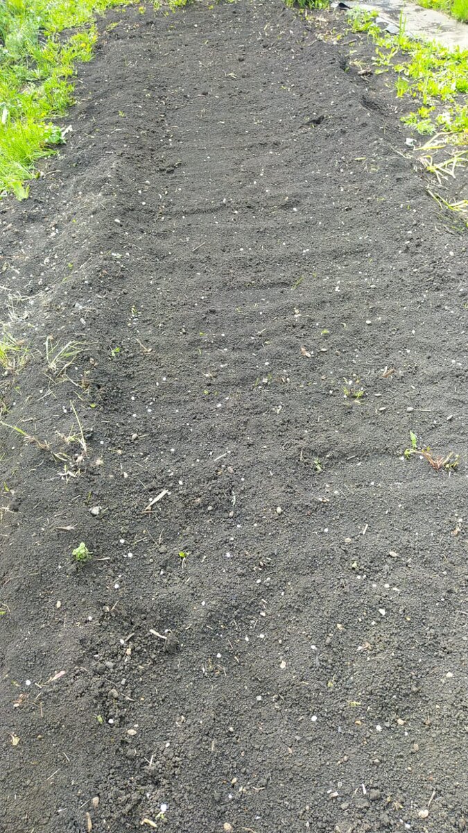 Пустая грядка