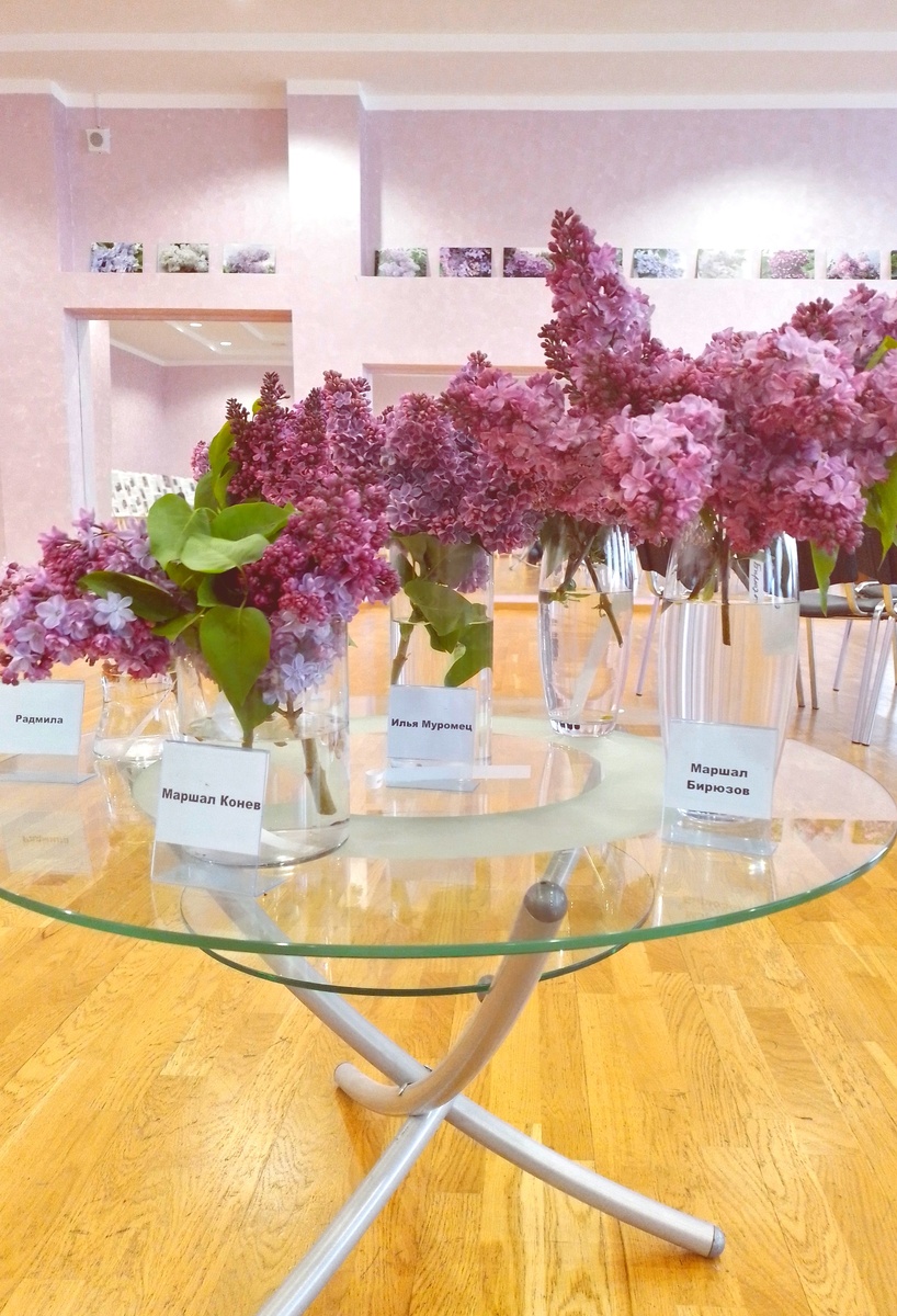 На прозрачном столике сирень цветет 