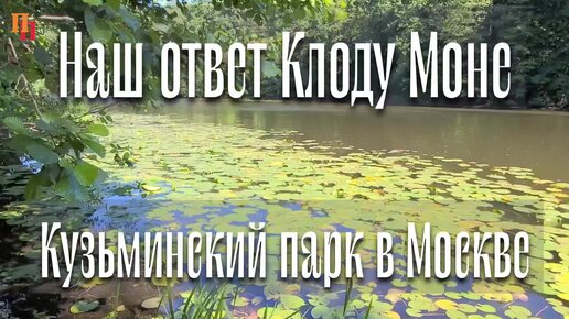 Наш ответ Клоду Моне. Кувшинки в парке Кузьминки. Москва.