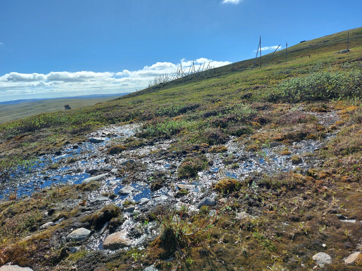 Дорога на Териберку