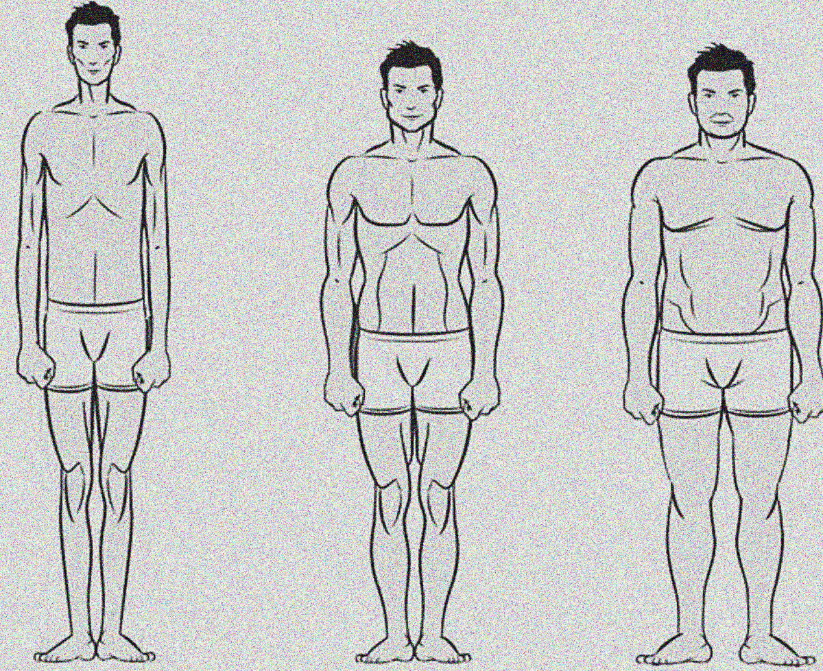 Эктоморф. Астеник эктоморф. Эктоморф 80 кг. Эндоморф мезоморф эктоморф некроморф. Эктоморф 50 кг.