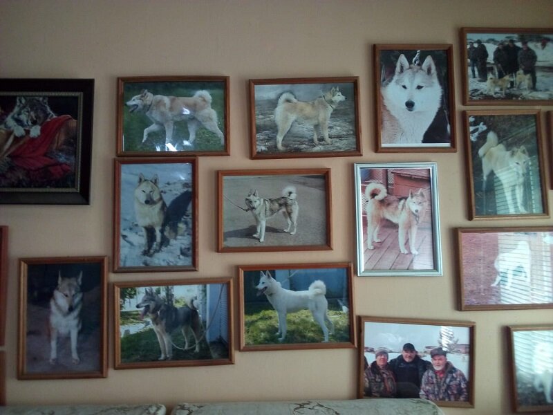 Фотогалерея