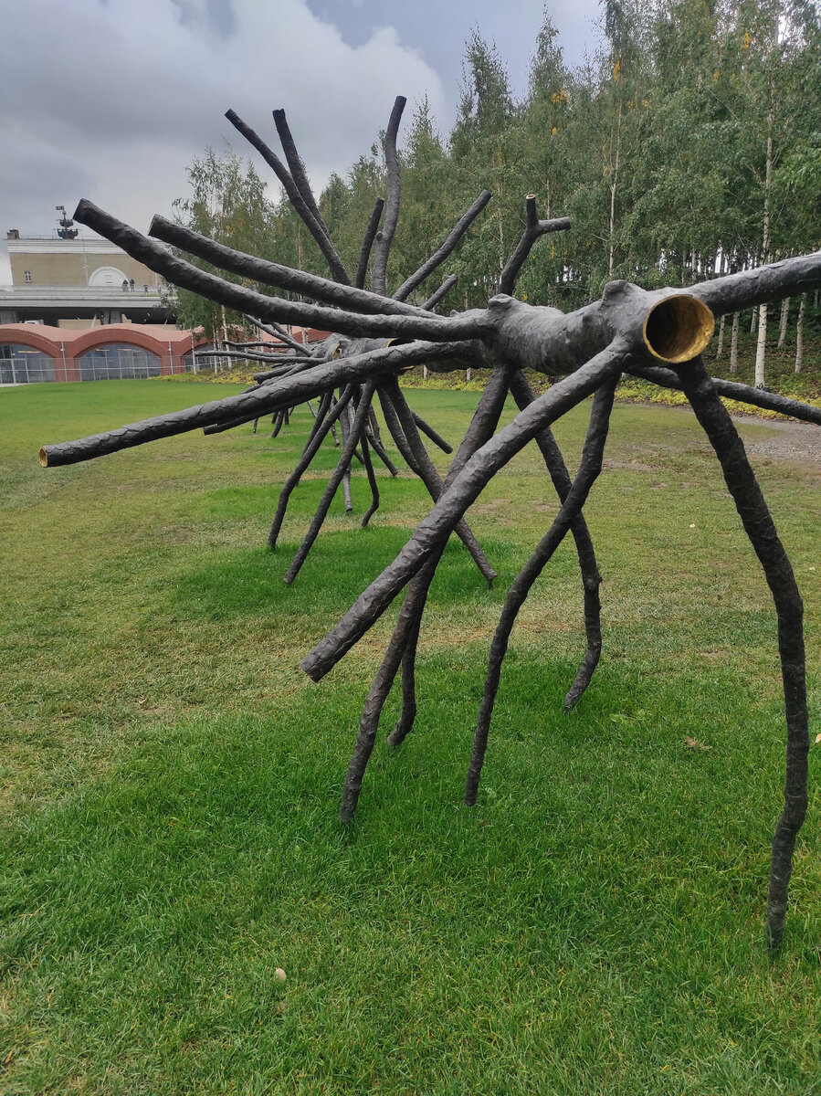 «Про­странство света»