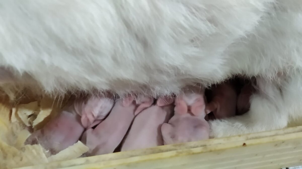 Фото из личного архива Александра Боднара