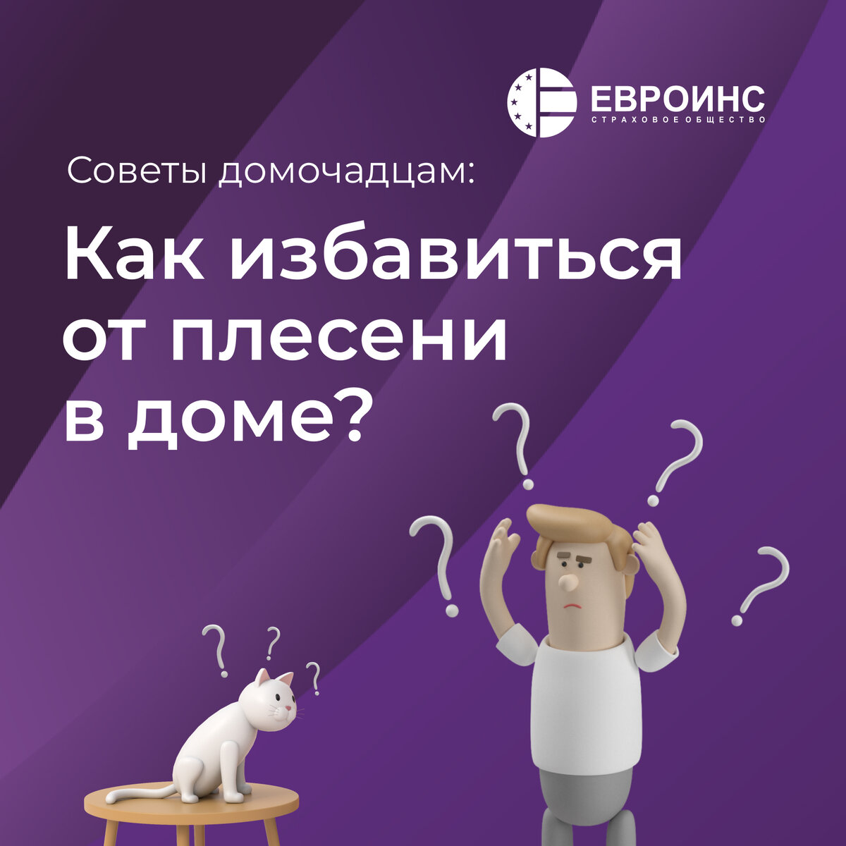 Как избавиться от плесени в доме | Страхование и финансовая грамотность |  Дзен